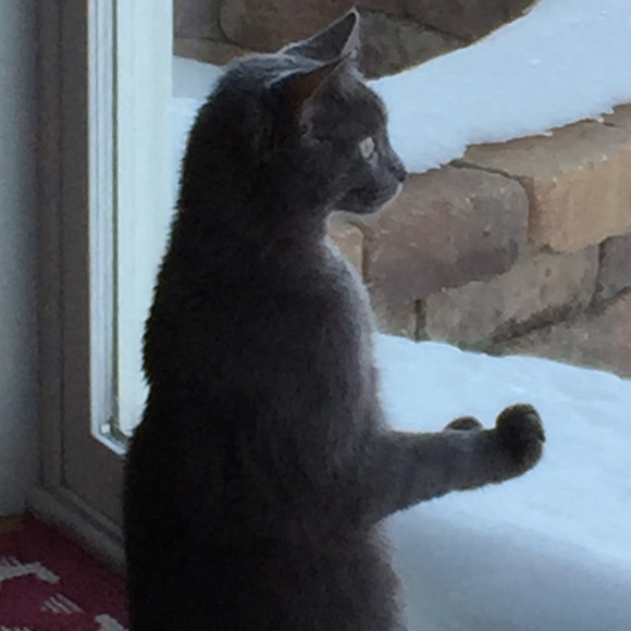 Meet your Posher, Violeta - Picture 1 of 1